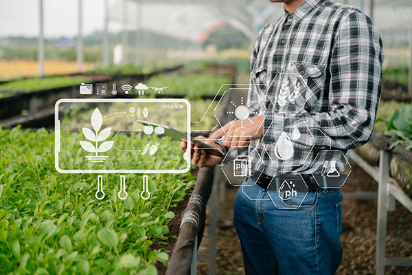 El rector de UNINI México participa en un estudio que analiza y propone una solución para mejorar la producción agrícola